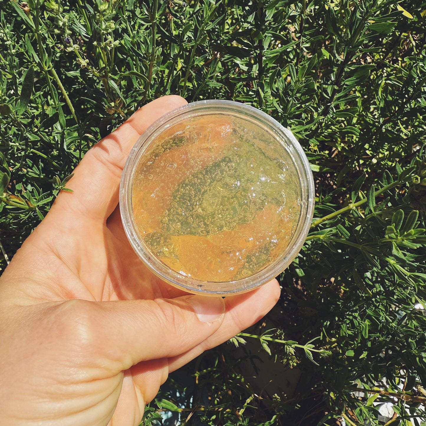 MOON JELLY BOTANICAL HYDRO-JELLY