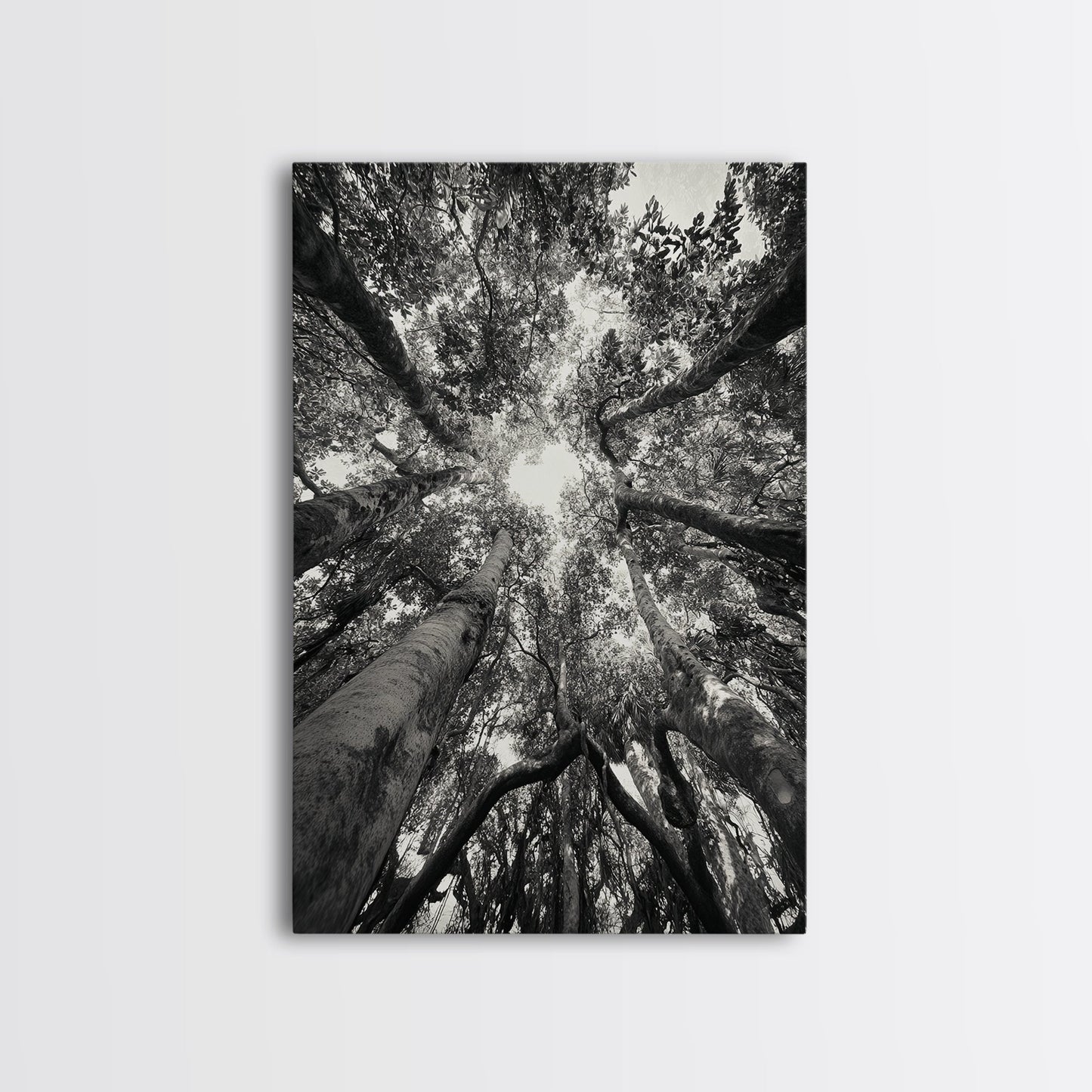 TREE CANOPY, FOREST LIGHT, UPWARD VIEW, CANVAS PRINT, WOODLAND WALL ART, LIVING ROOM DECOR, NATURE PERSPECTIVE PHOTOGRAPHY