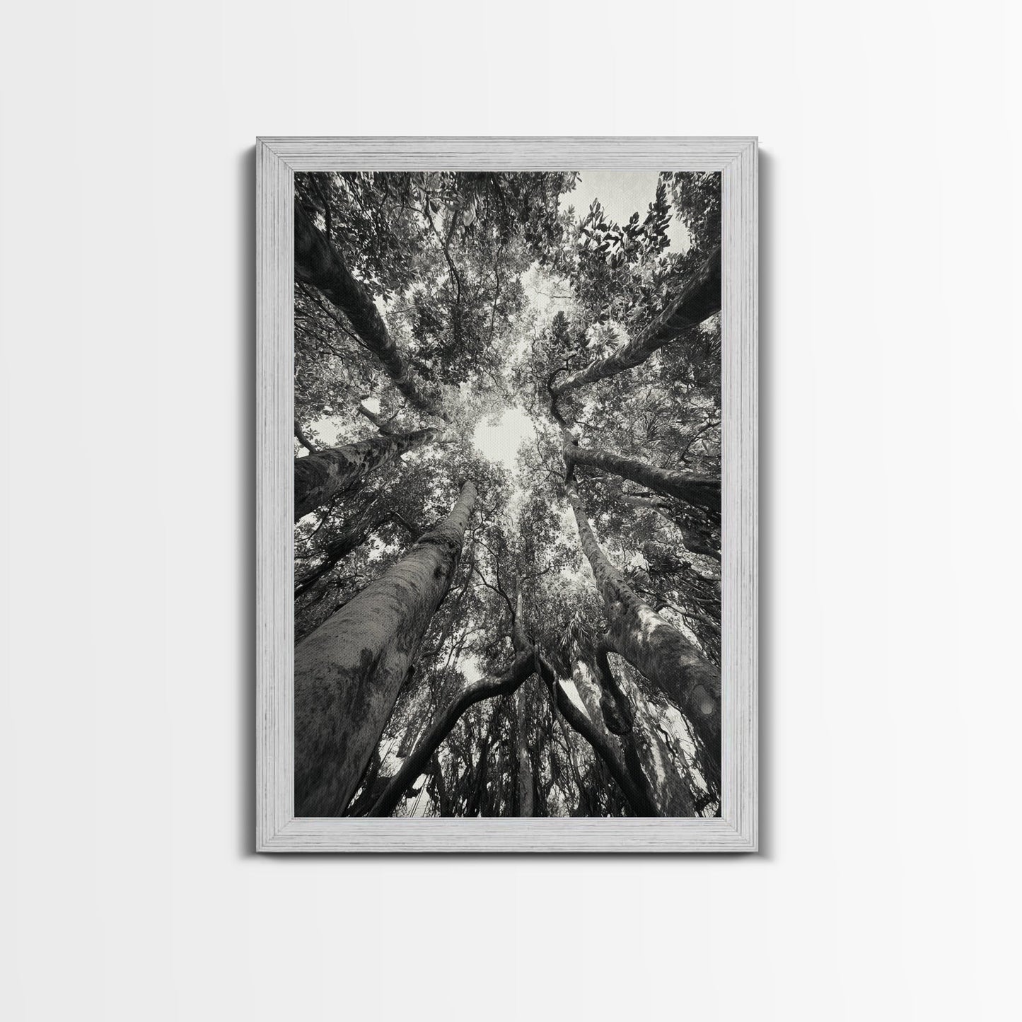 TREE CANOPY, FOREST LIGHT, UPWARD VIEW, CANVAS PRINT, WOODLAND WALL ART, LIVING ROOM DECOR, NATURE PERSPECTIVE PHOTOGRAPHY