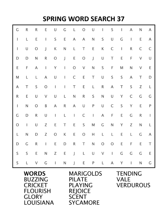 50 Spring Word Search Puzzles with Answers – Instant Download