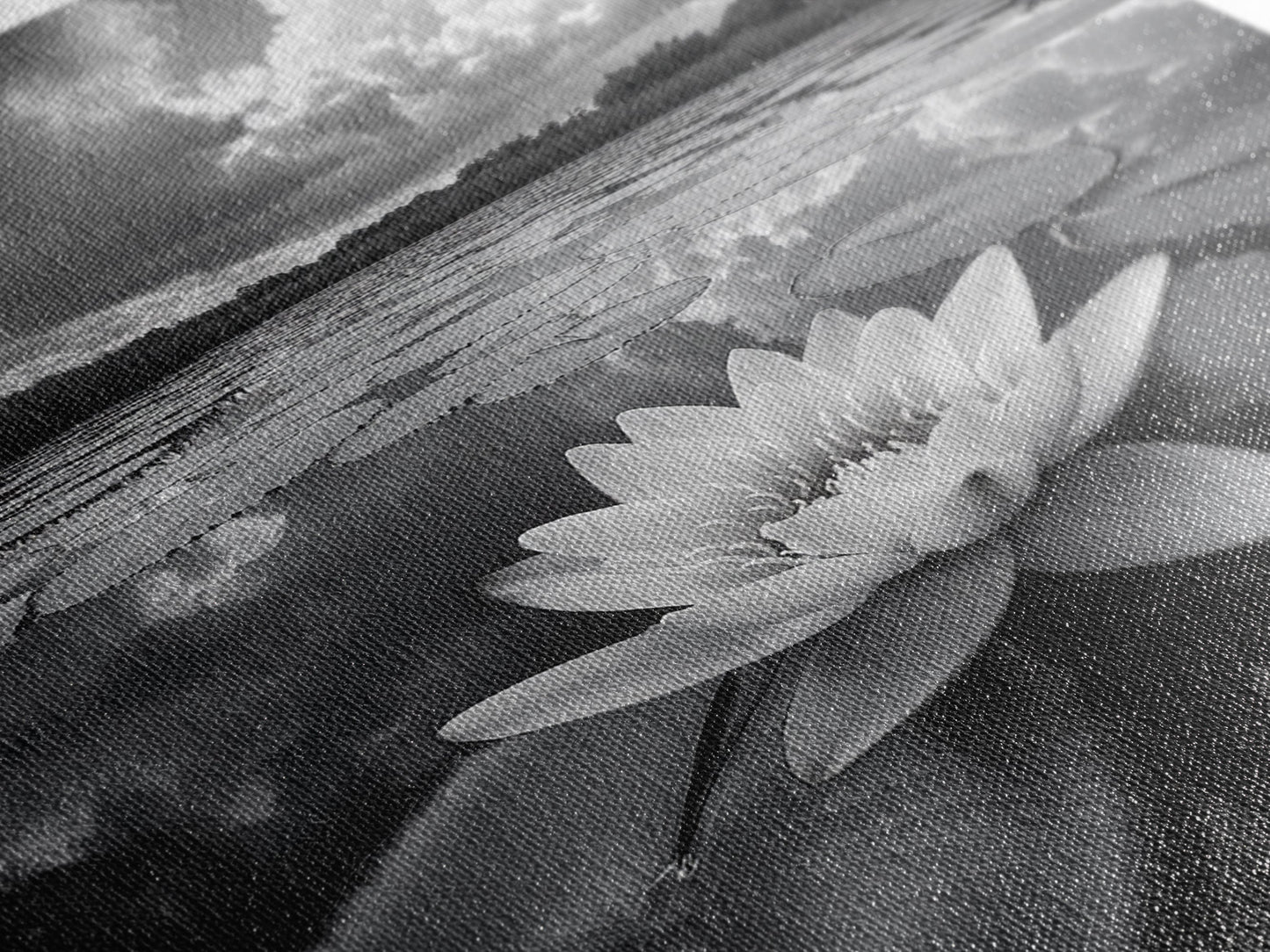 TRANQUIL LOTUS, CLOUD REFLECTIONS, WATER LILY POND, FRAMED CANVAS PRINT, ZEN WALL ART, SPA BATHROOM DECOR, MODERN NATURE PHOTOGRAPHY
