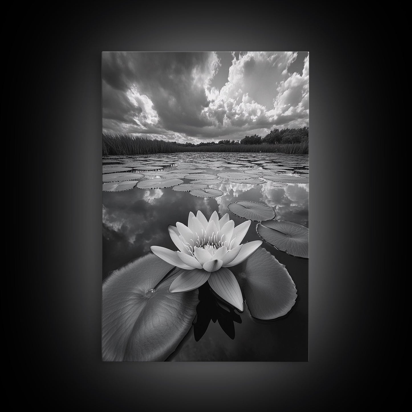 TRANQUIL LOTUS, CLOUD REFLECTIONS, WATER LILY POND, FRAMED CANVAS PRINT, ZEN WALL ART, SPA BATHROOM DECOR, MODERN NATURE PHOTOGRAPHY
