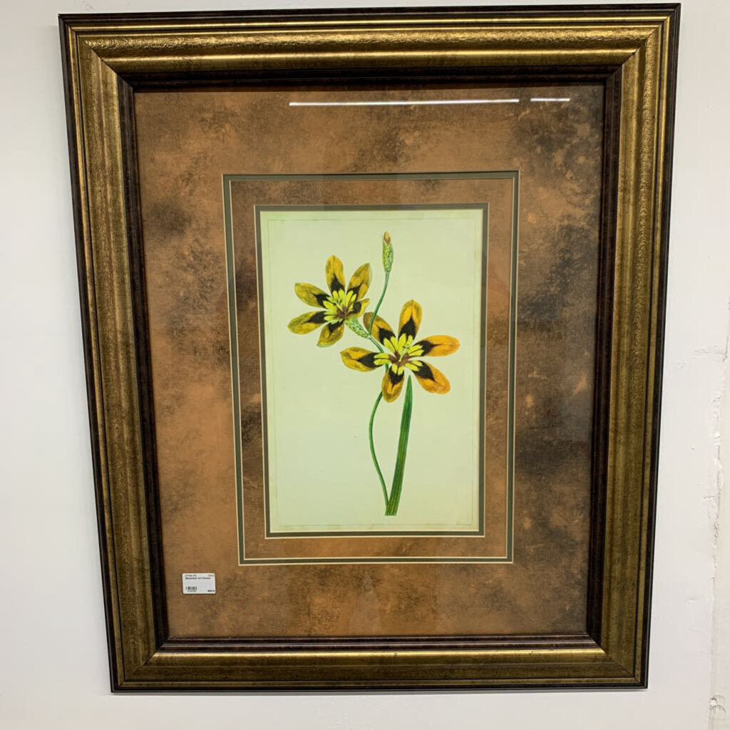 BOTONICAL ART FLOWER