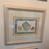 SEASHELL PICTURE