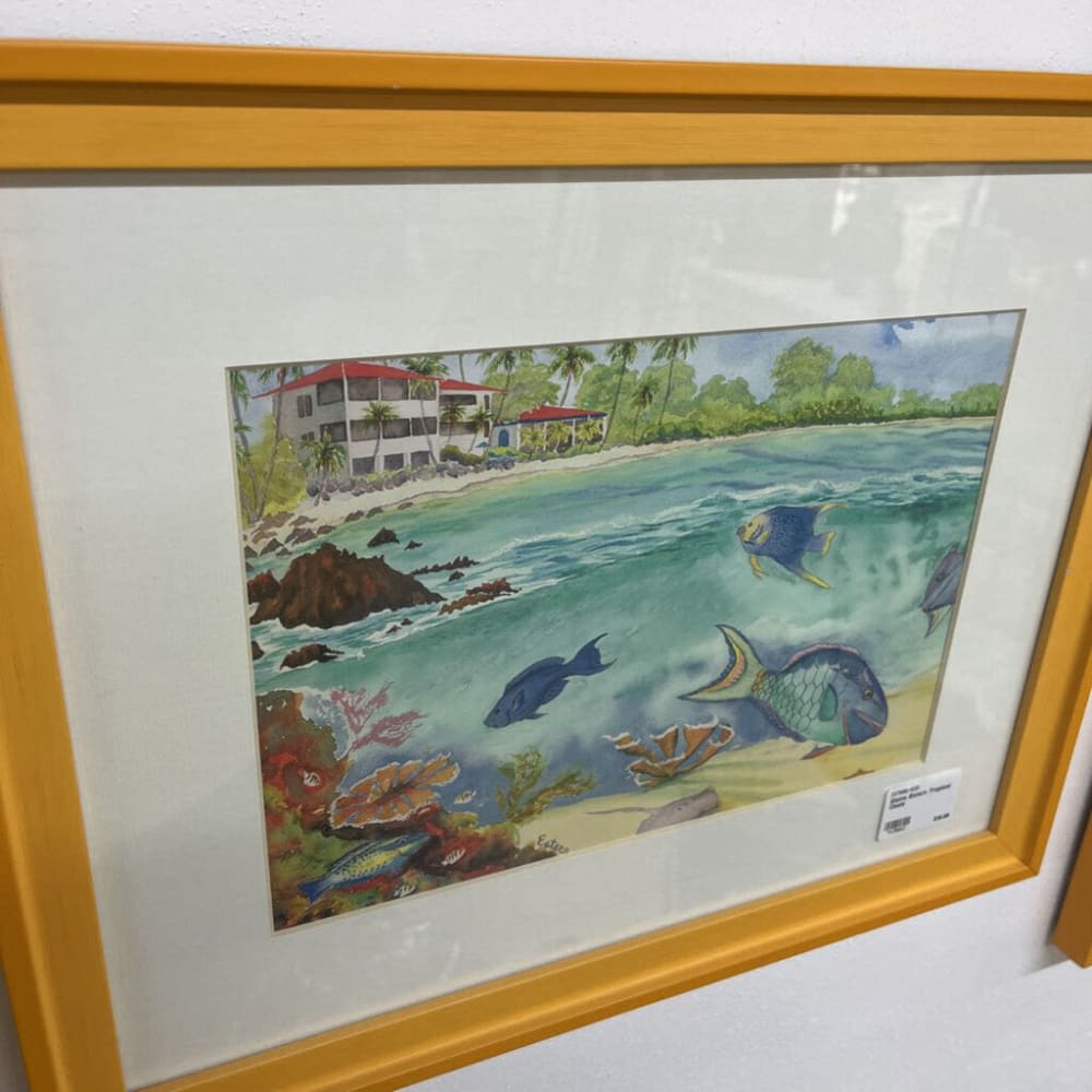 ELAINE ESTERN TROPICAL OASIS