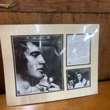 ELVIS CERTIFIED PICTURE