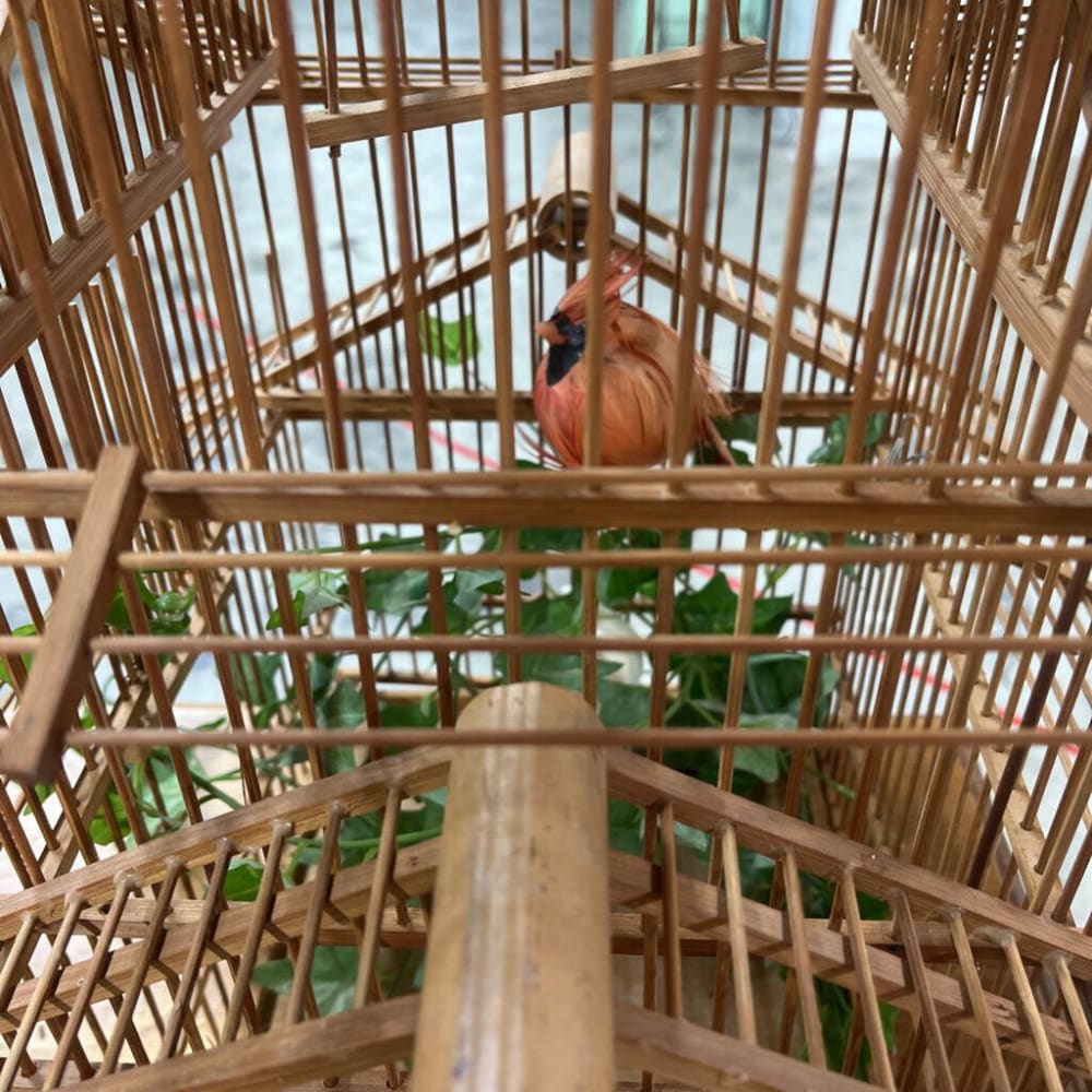 VINTAGE BAMBOO BIRD HOUSE