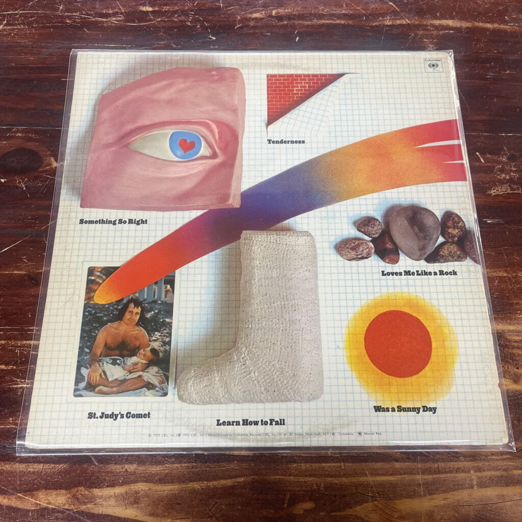 PAUL SIMON - THERE GOES RHYMIN SIMON