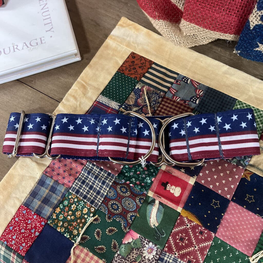 Dog Collar-Red White Blue