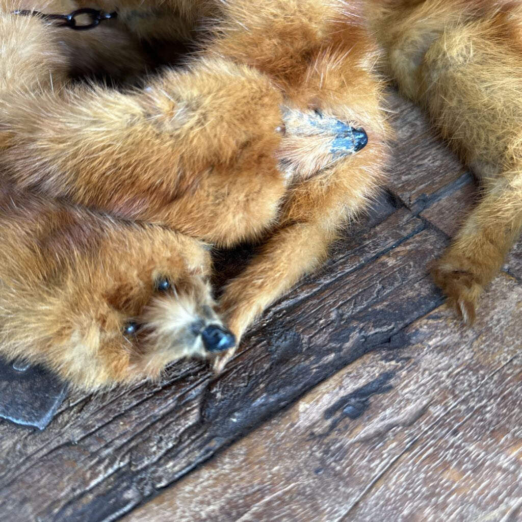ANTIQUE FOX FUR TRIM