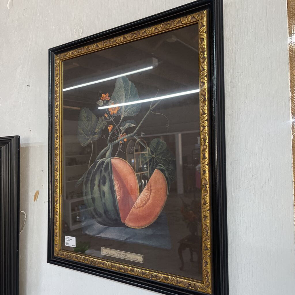 Framed Polinac Melon Art