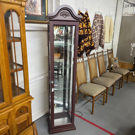 Curio Cabinet with Light