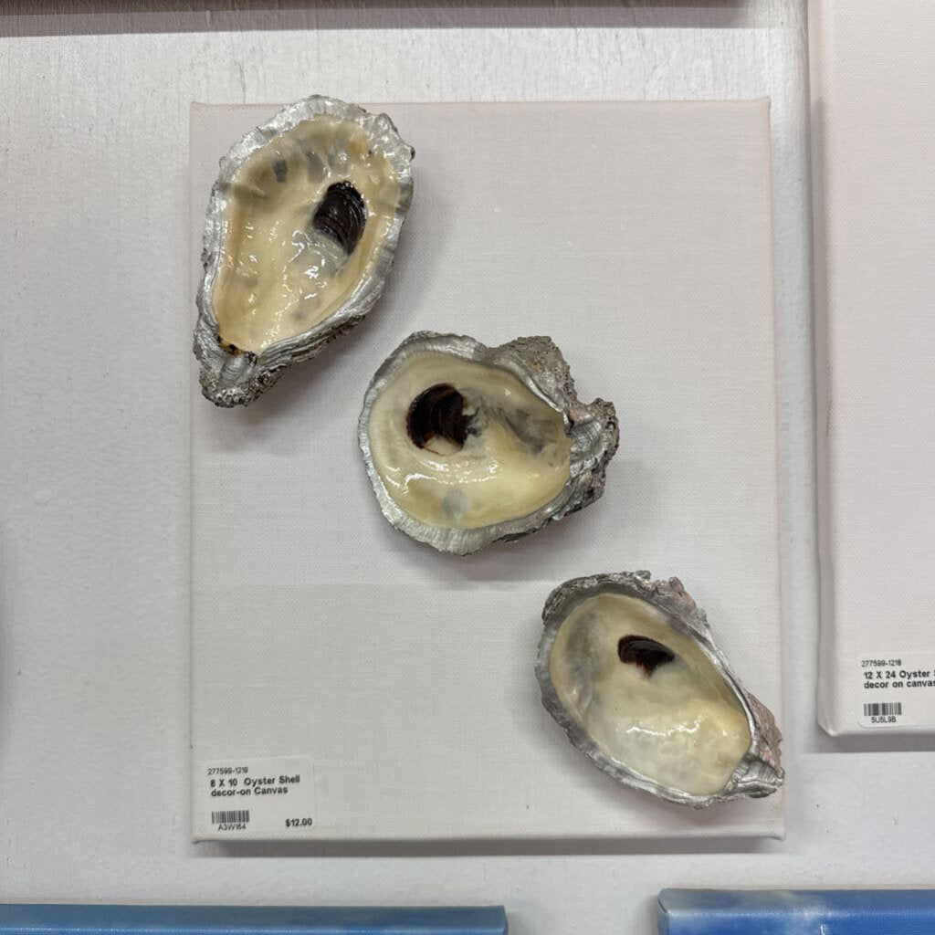 8 X 10 Oyster Shell decor-on Canvas