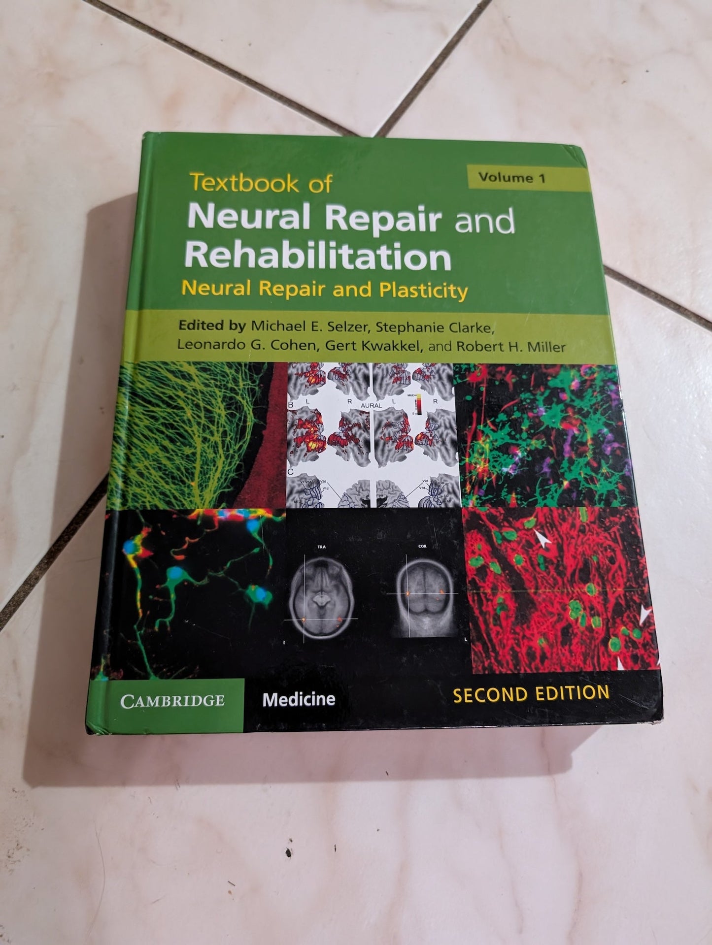 TEXTBOOK OF NEURAL REPAIR AND REHABILITATION: VOLUME 1, NEURAL REPAIR AND PLASTICITY