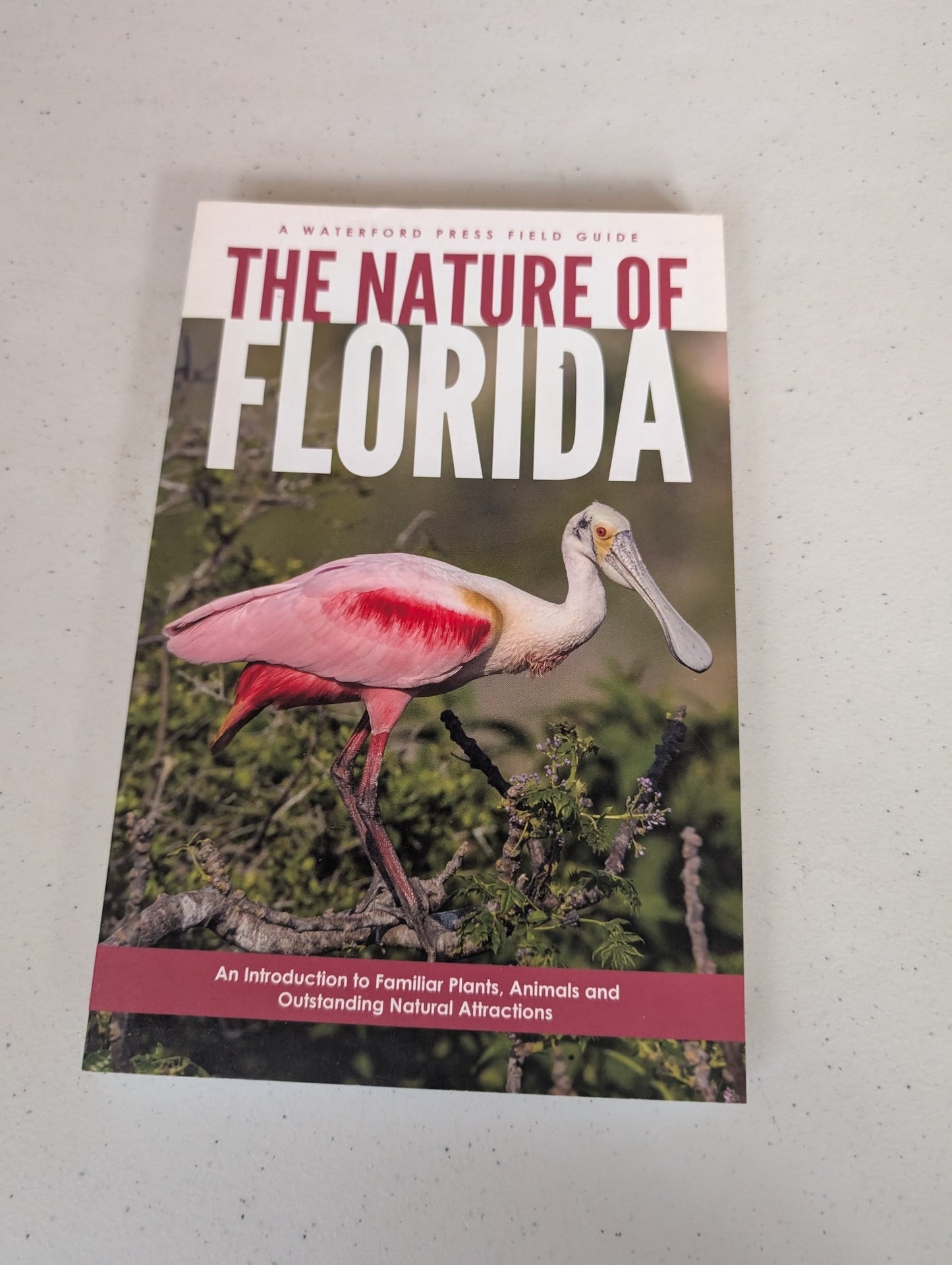 THE NATURE OF FLORIDA: AN INTRODUCTION TO FAMILIAR PLANTS, ANIMALS & OUTSTANDING NATURAL ATTRACTIONS BOOK BY JAMES KAVANAGH
