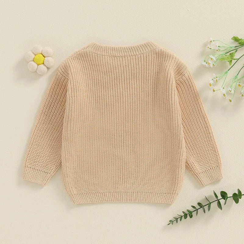 TODDLER KIDS GIRL BIG SISTER SWEATER CUTE LONG SLEEVE LETTER EMBROIDERY KNIT PULLOVER LOOSE TOP