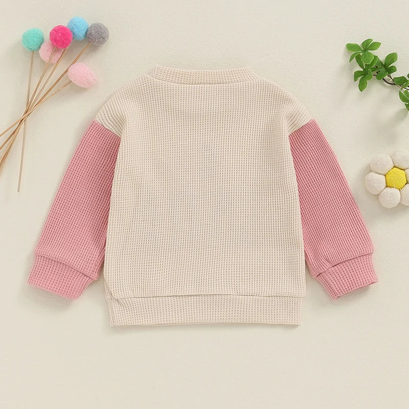 TODDLER KIDS BIG BROTHER / SISTER PULLOVER LETTER EMBROIDERY ROUND NECK CONTRASTING COLOR LONG SLEEVE WAFFLE TOP
