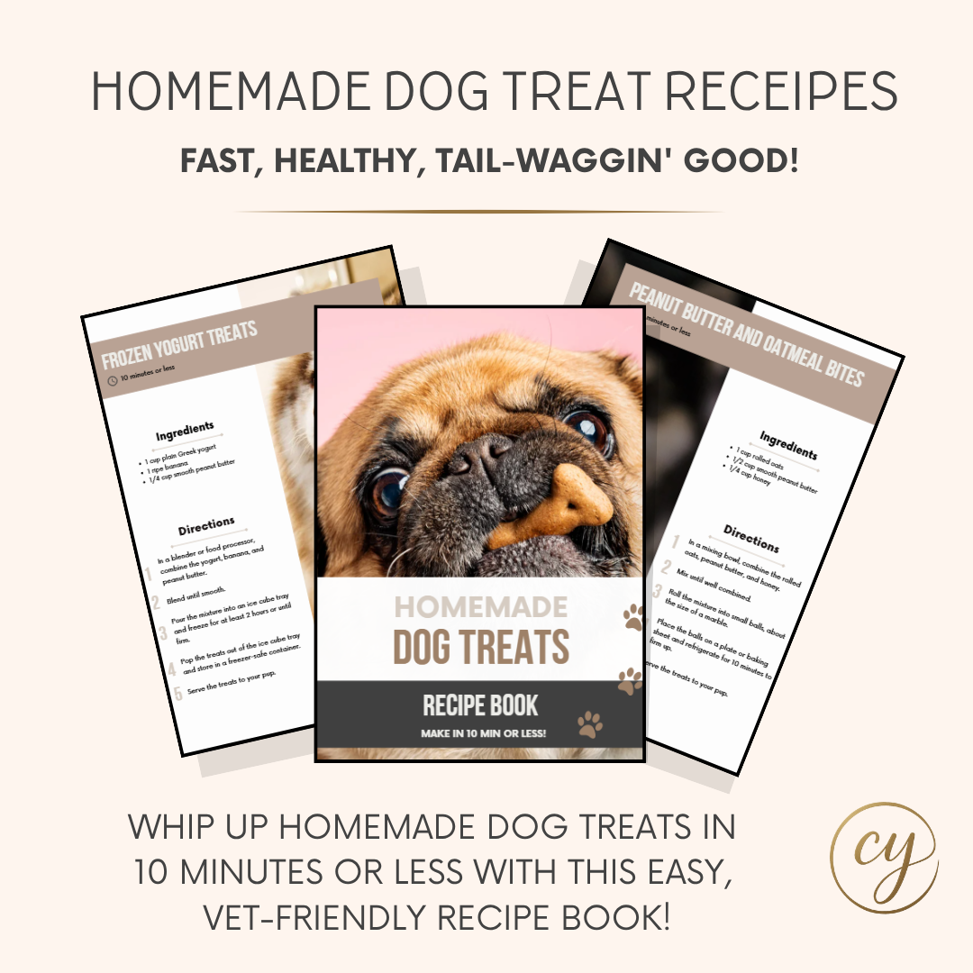 10 Homemade Dog Treat Recipes – Ready in Under 10 Minutes (PDF Download)