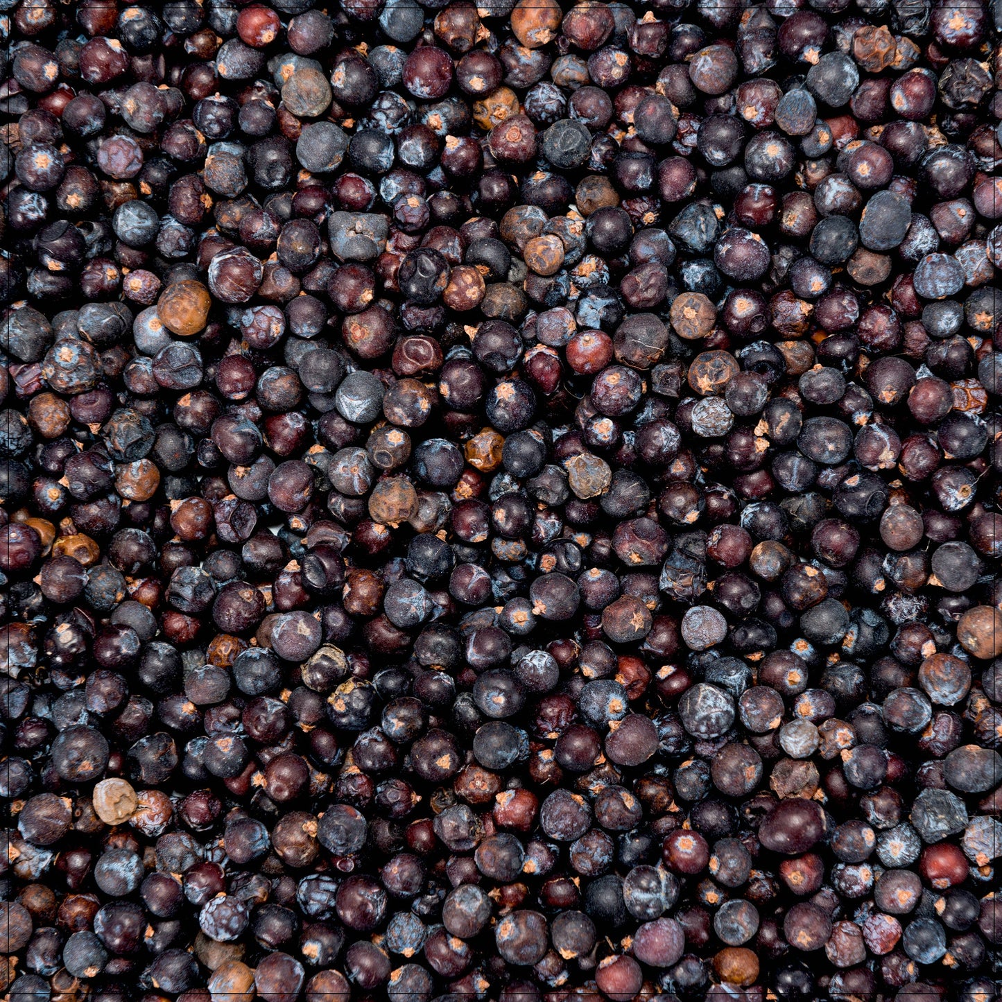 JUNIPER BERRIES