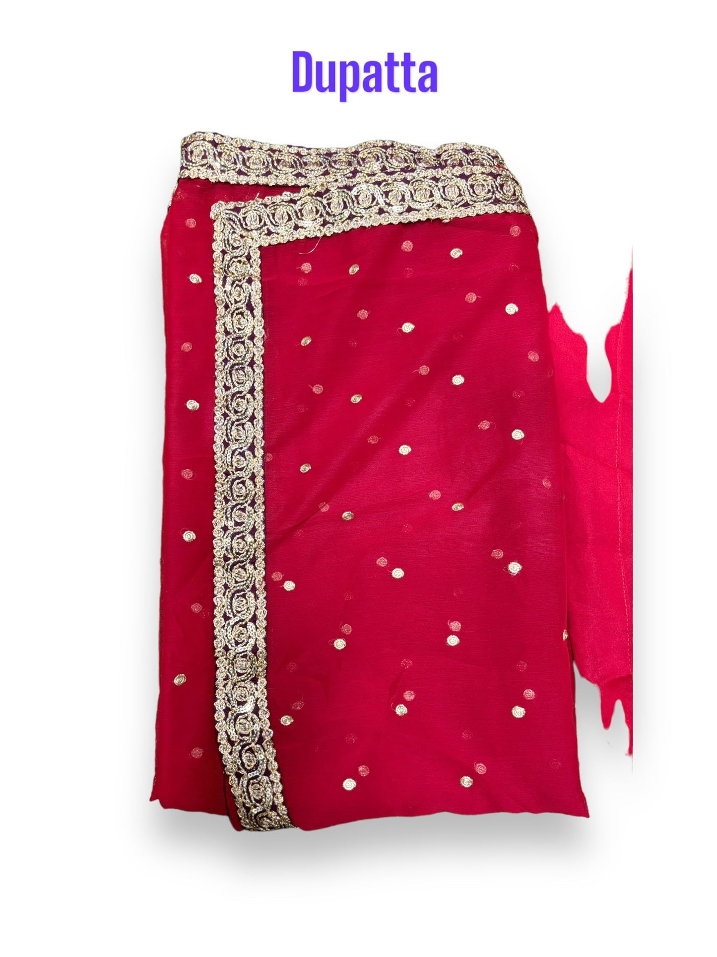 TRADITIONAL DESIGNER MAXI GOWN-ETHNIC WEAR FOR WOMEN - 204