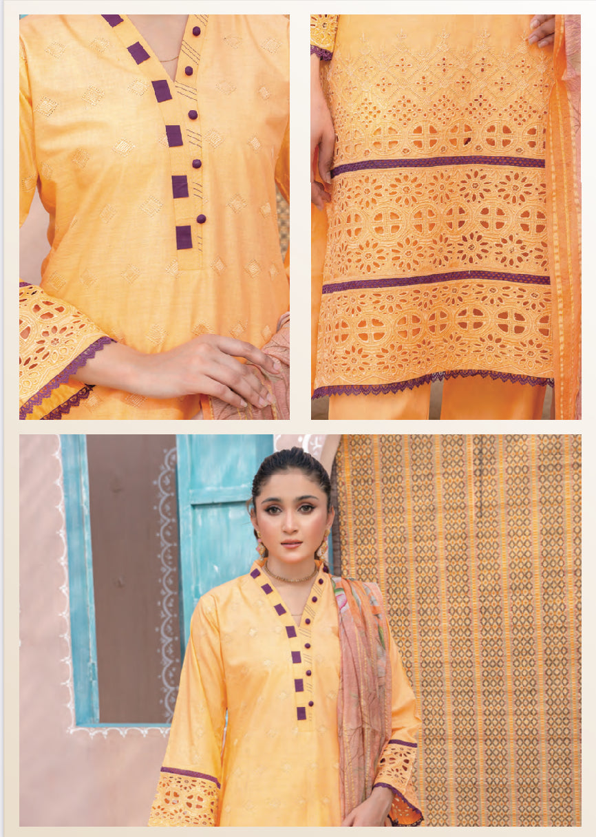 TRADITIONAL PAKISTANI SALWAR KAMEEZ SET - ETHNIC WEAR FOR WOMEN- 2217
