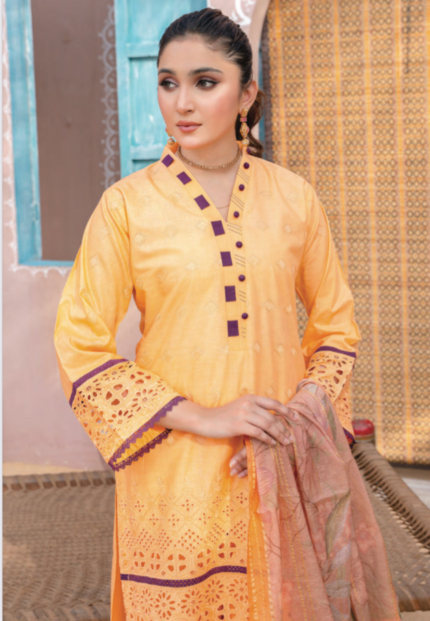 TRADITIONAL PAKISTANI SALWAR KAMEEZ SET - ETHNIC WEAR FOR WOMEN- 2217