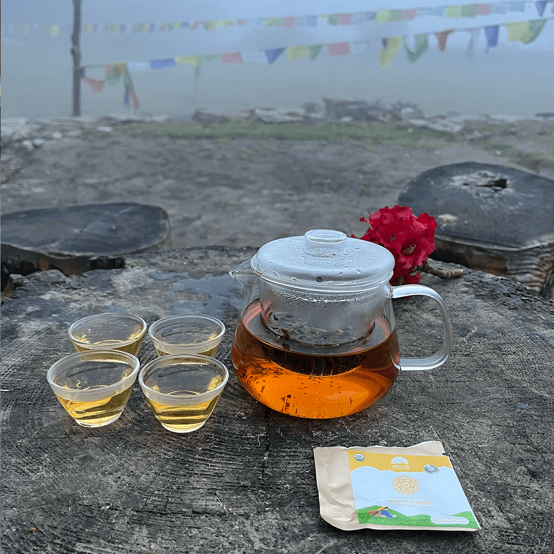 THE TEA EXPLORER SET