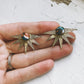 SUN GODDESS EARRINGS WITH COPPER OYSTER TURQUOISE