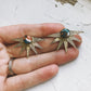 SUN GODDESS EARRINGS WITH COPPER OYSTER TURQUOISE