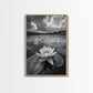 TRANQUIL LOTUS, CLOUD REFLECTIONS, WATER LILY POND, FRAMED CANVAS PRINT, ZEN WALL ART, SPA BATHROOM DECOR, MODERN NATURE PHOTOGRAPHY