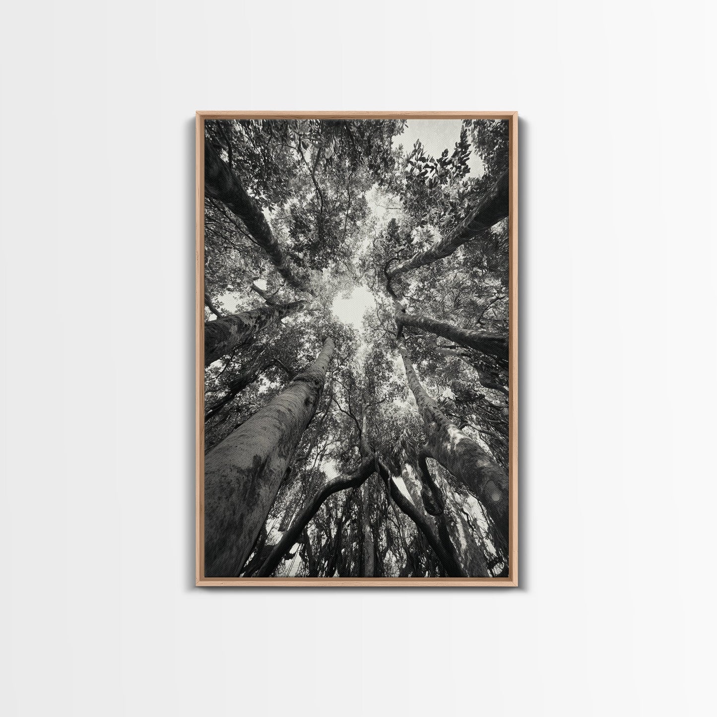 TREE CANOPY, FOREST LIGHT, UPWARD VIEW, CANVAS PRINT, WOODLAND WALL ART, LIVING ROOM DECOR, NATURE PERSPECTIVE PHOTOGRAPHY