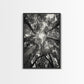 TREE CANOPY, FOREST LIGHT, UPWARD VIEW, CANVAS PRINT, WOODLAND WALL ART, LIVING ROOM DECOR, NATURE PERSPECTIVE PHOTOGRAPHY