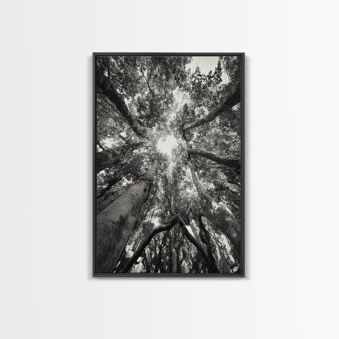 TREE CANOPY, FOREST LIGHT, UPWARD VIEW, CANVAS PRINT, WOODLAND WALL ART, LIVING ROOM DECOR, NATURE PERSPECTIVE PHOTOGRAPHY