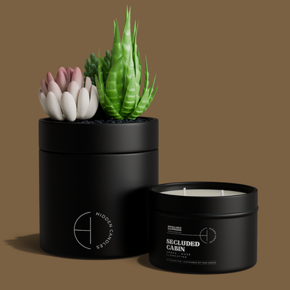 THE HIDDEN CANDLE