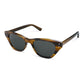 BELIZE GATO ACETATE SUNGLASSES