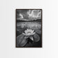 TRANQUIL LOTUS, CLOUD REFLECTIONS, WATER LILY POND, FRAMED CANVAS PRINT, ZEN WALL ART, SPA BATHROOM DECOR, MODERN NATURE PHOTOGRAPHY