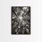 TREE CANOPY, FOREST LIGHT, UPWARD VIEW, CANVAS PRINT, WOODLAND WALL ART, LIVING ROOM DECOR, NATURE PERSPECTIVE PHOTOGRAPHY