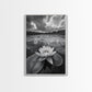 TRANQUIL LOTUS, CLOUD REFLECTIONS, WATER LILY POND, FRAMED CANVAS PRINT, ZEN WALL ART, SPA BATHROOM DECOR, MODERN NATURE PHOTOGRAPHY