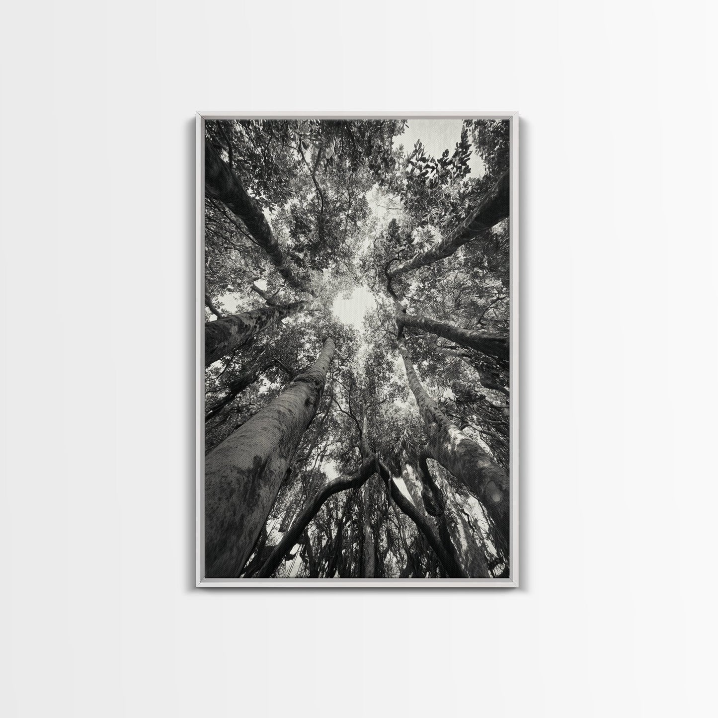 TREE CANOPY, FOREST LIGHT, UPWARD VIEW, CANVAS PRINT, WOODLAND WALL ART, LIVING ROOM DECOR, NATURE PERSPECTIVE PHOTOGRAPHY