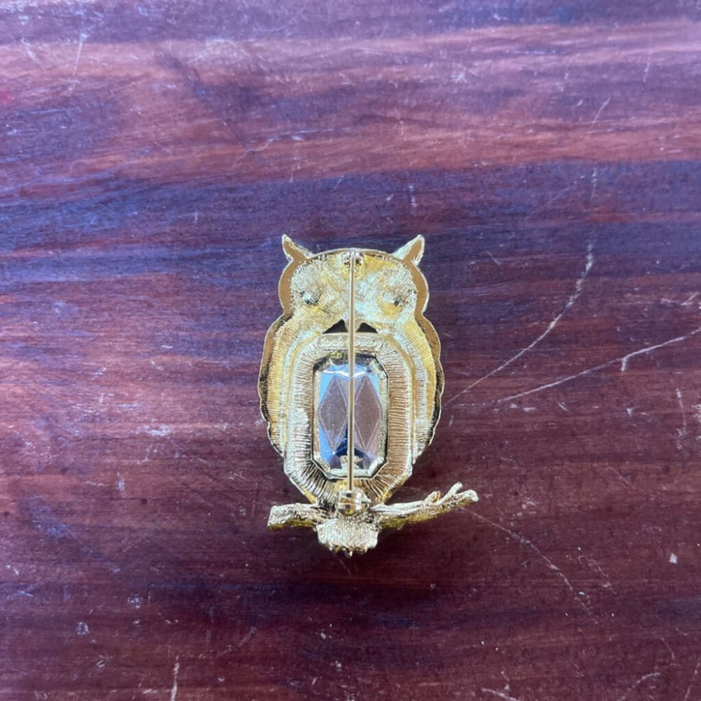 RTD SC WATERMELON OWL BROOCH