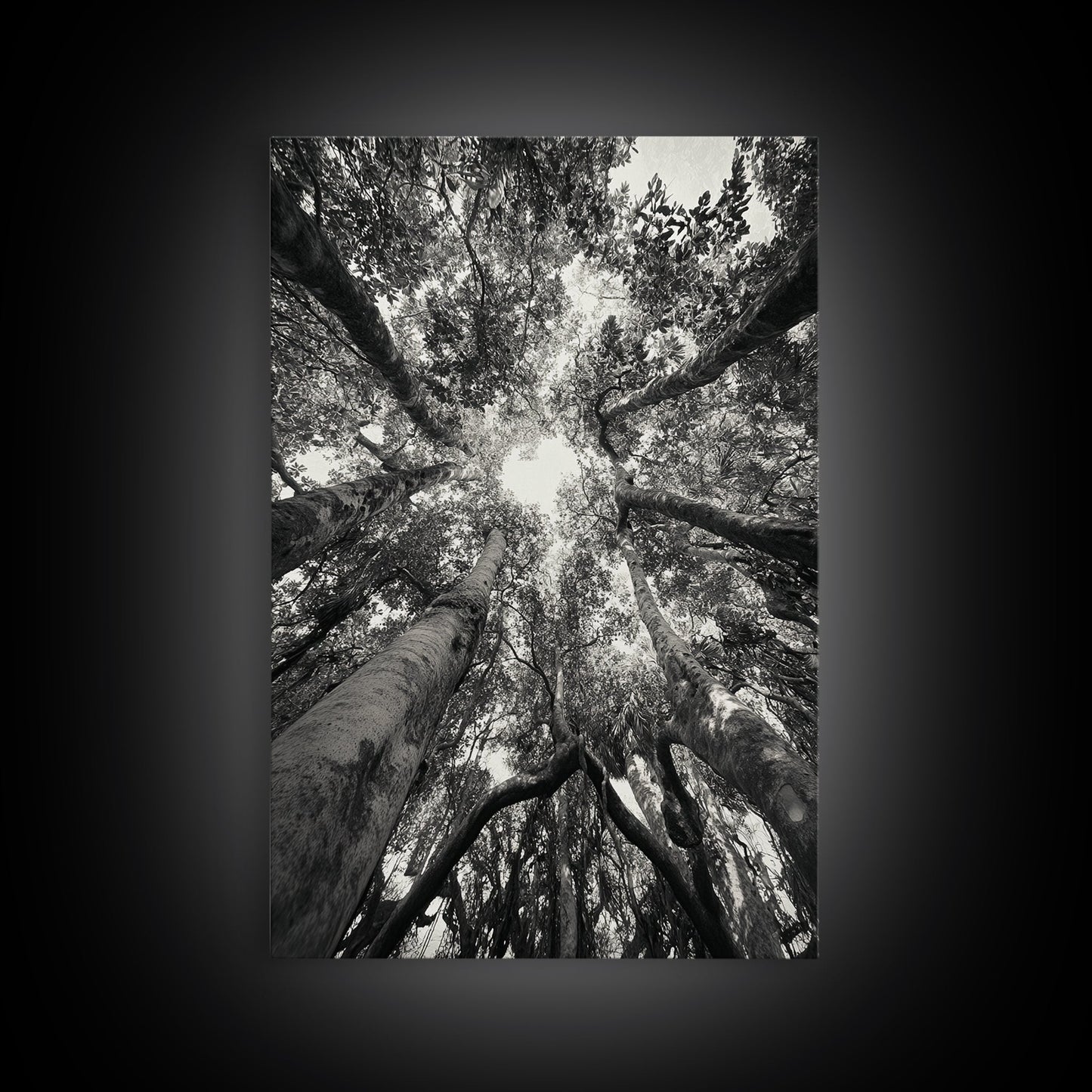 TREE CANOPY, FOREST LIGHT, UPWARD VIEW, CANVAS PRINT, WOODLAND WALL ART, LIVING ROOM DECOR, NATURE PERSPECTIVE PHOTOGRAPHY