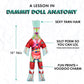 THE ANATOMY DOLL