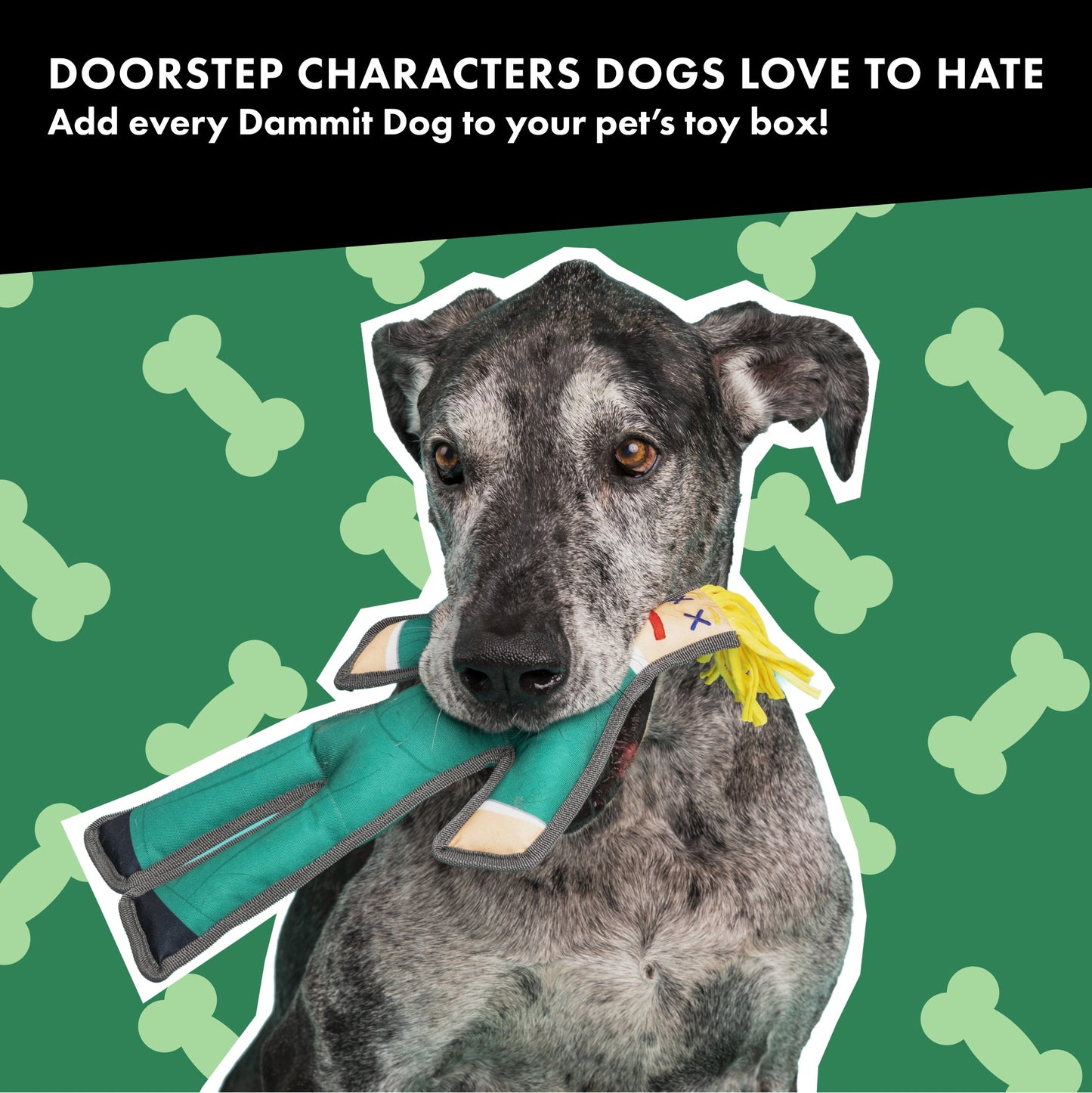 TAXMAN SQUEAKY CHEW TOY