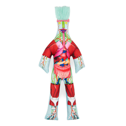 THE ANATOMY DOLL
