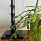 Modern Scalloped Base Floor Lamp