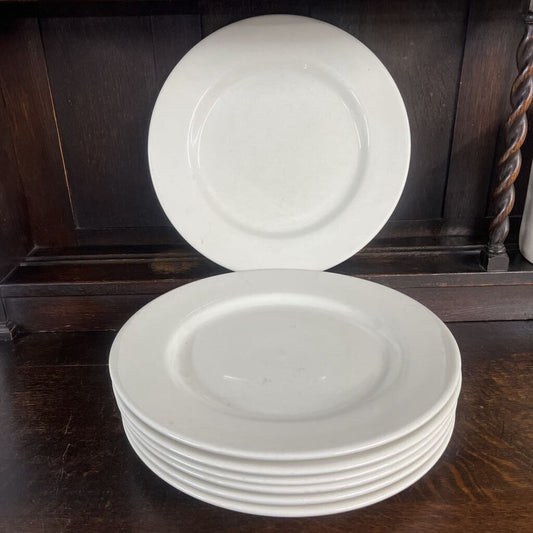 TUXTON RESTAURANT DINNER PLATES SET OF 7