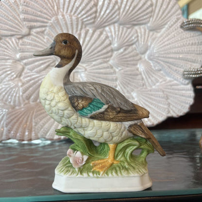 Pintail ceramic duck