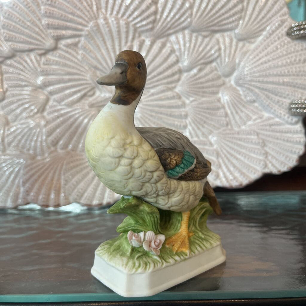 Pintail ceramic duck