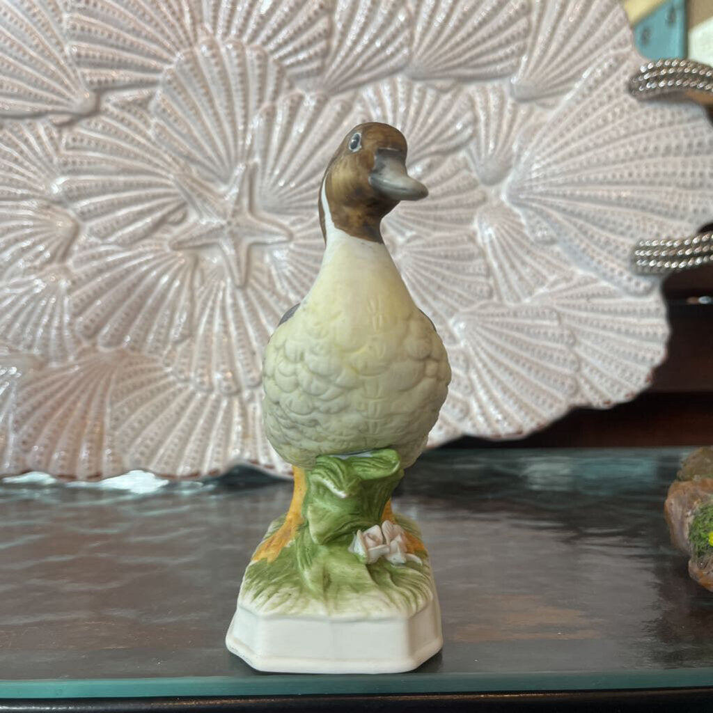 Pintail ceramic duck