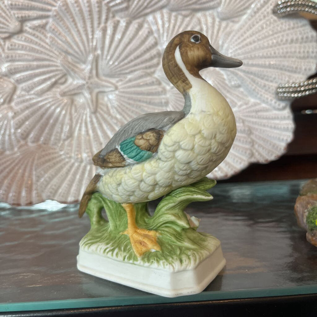 Pintail ceramic duck